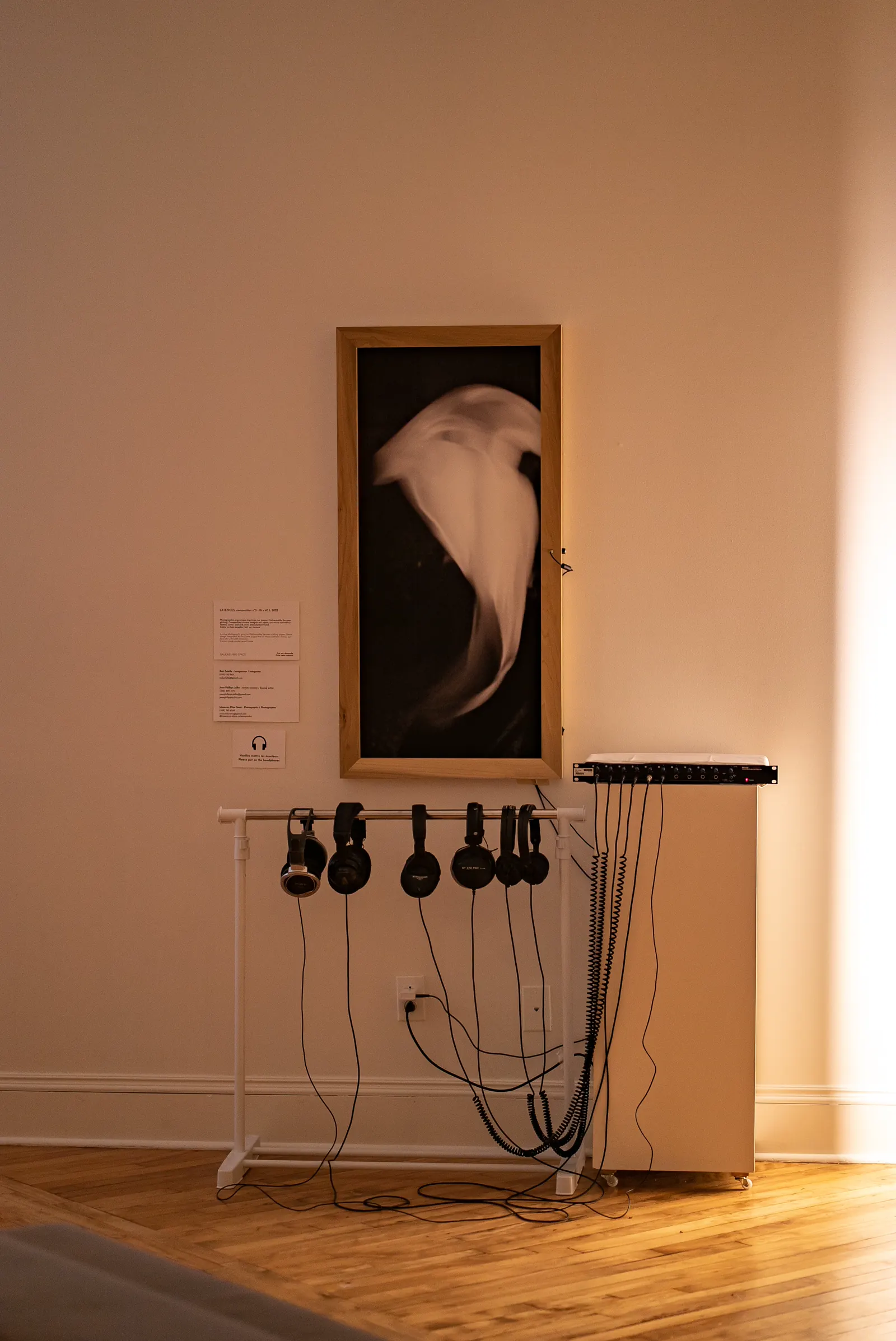 Latences exhibition